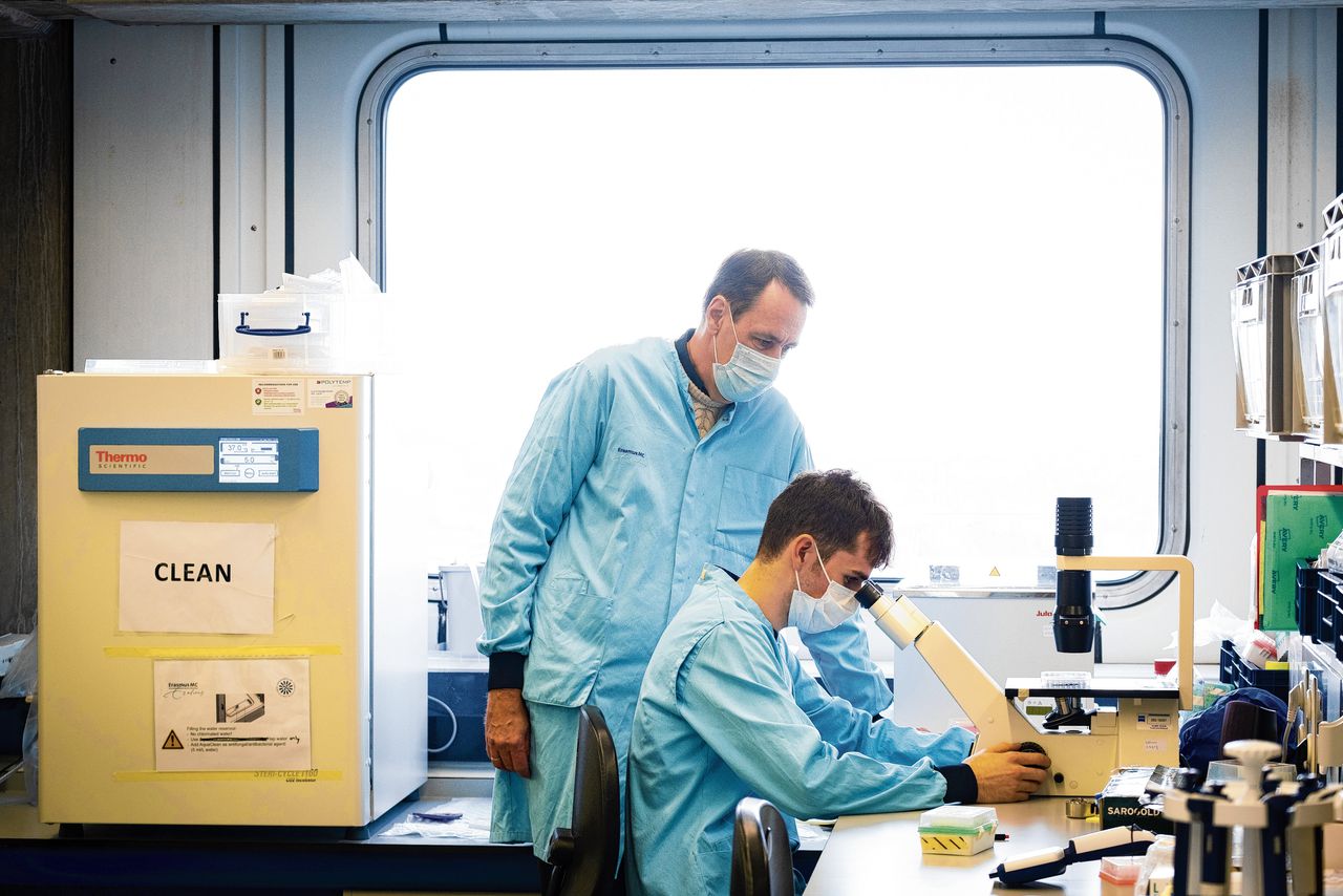 In het lab proberen wetenschappers de Omikronvariant te ontrafelen 