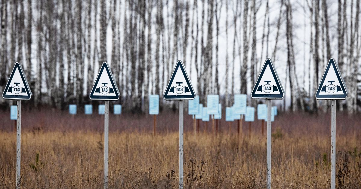 Hvor avhengig er Nederland av russisk gass?