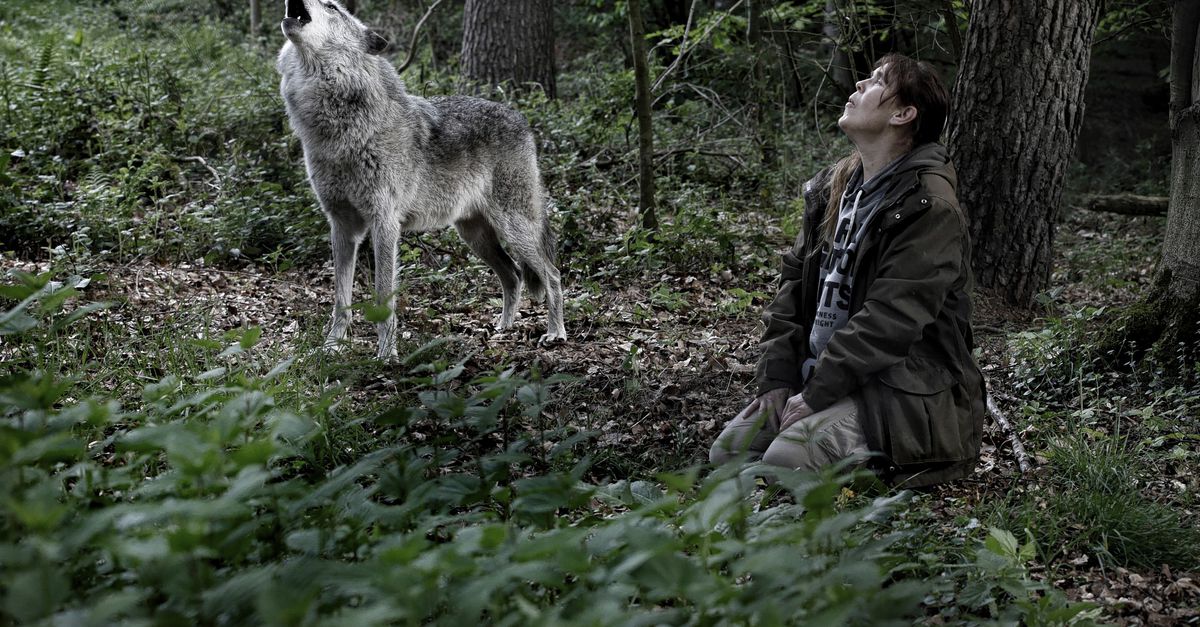 Samen huilen met de wolven - NRC