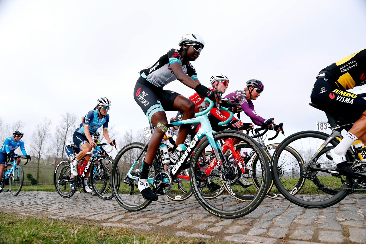 Nieuwsblad omloop het Five Favorites