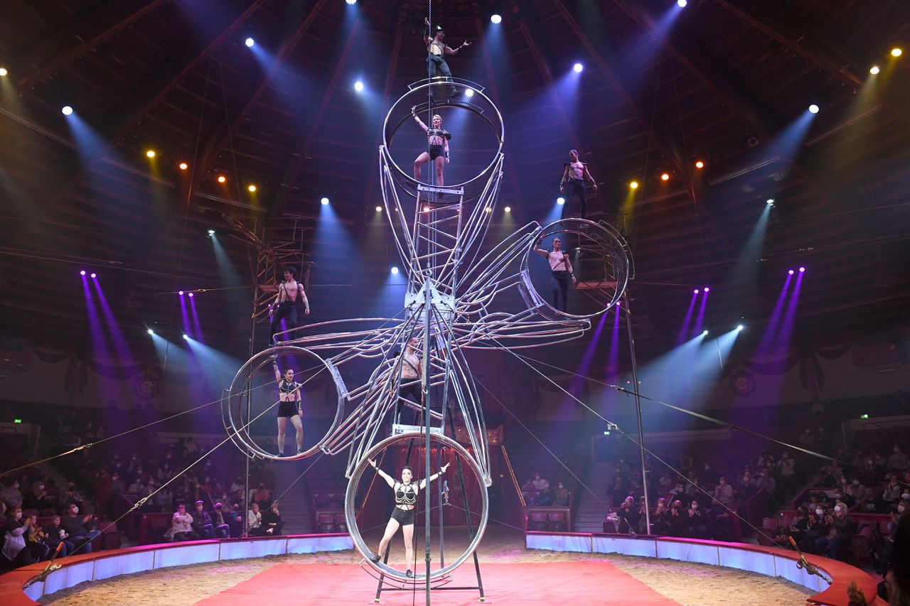 Christmas Circus not liable for Val Acrobat from ‘Rad of Death’