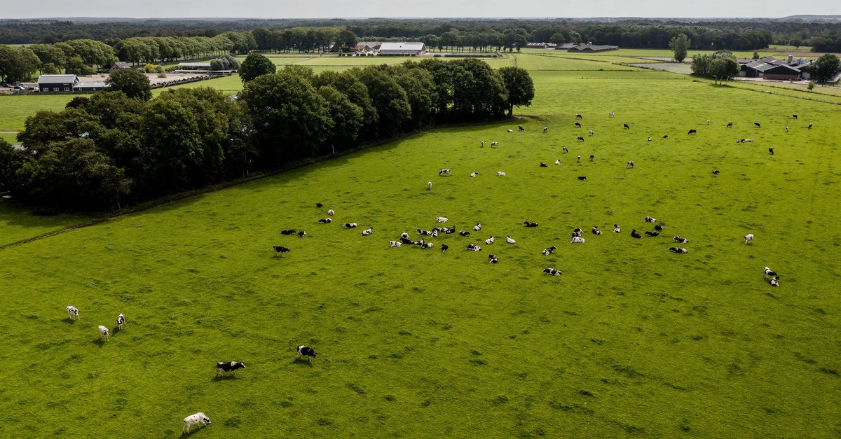 De Raad van State is uiterst kritisch op de nieuwe stikstofwet