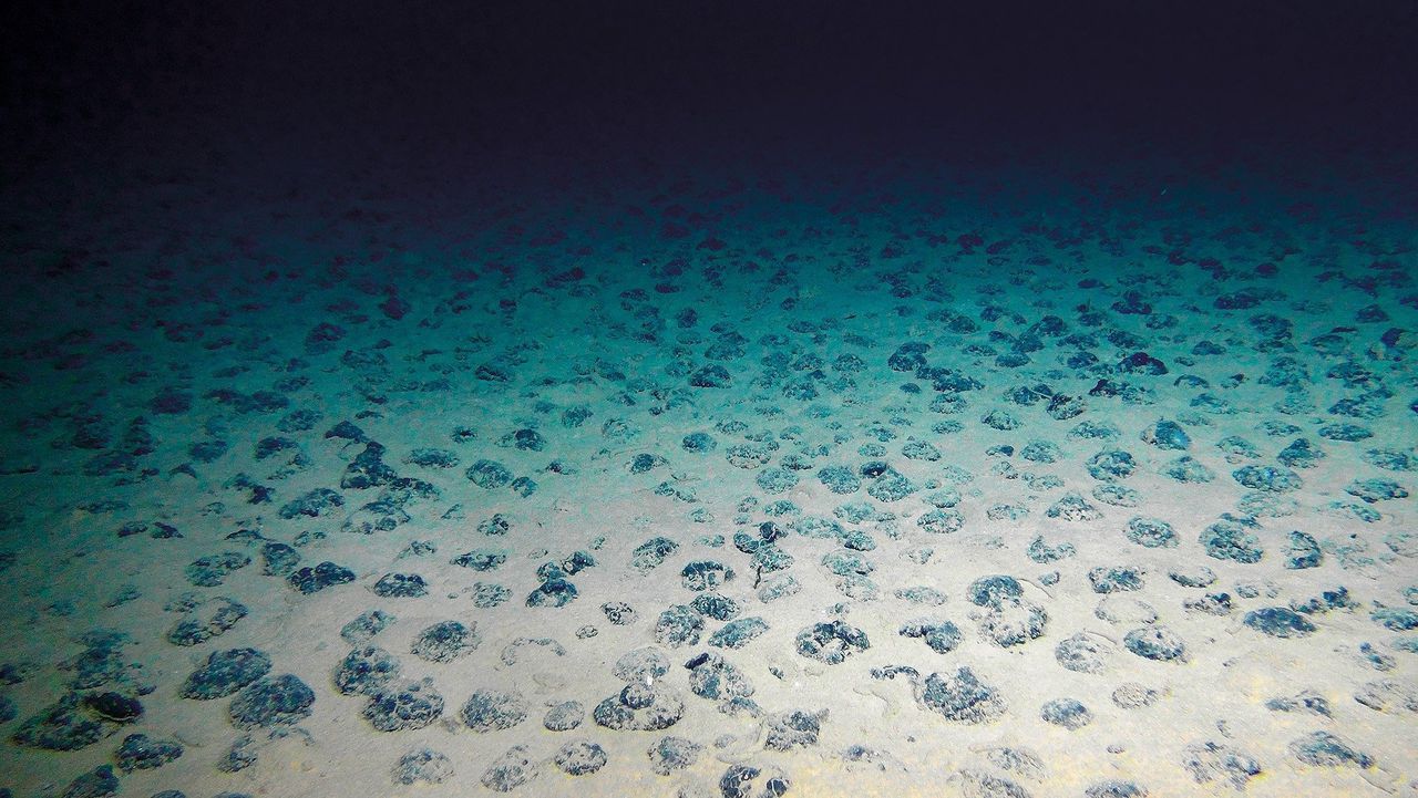 Verrassing: op de bodem van de diepzee komt zuurstof vrij 