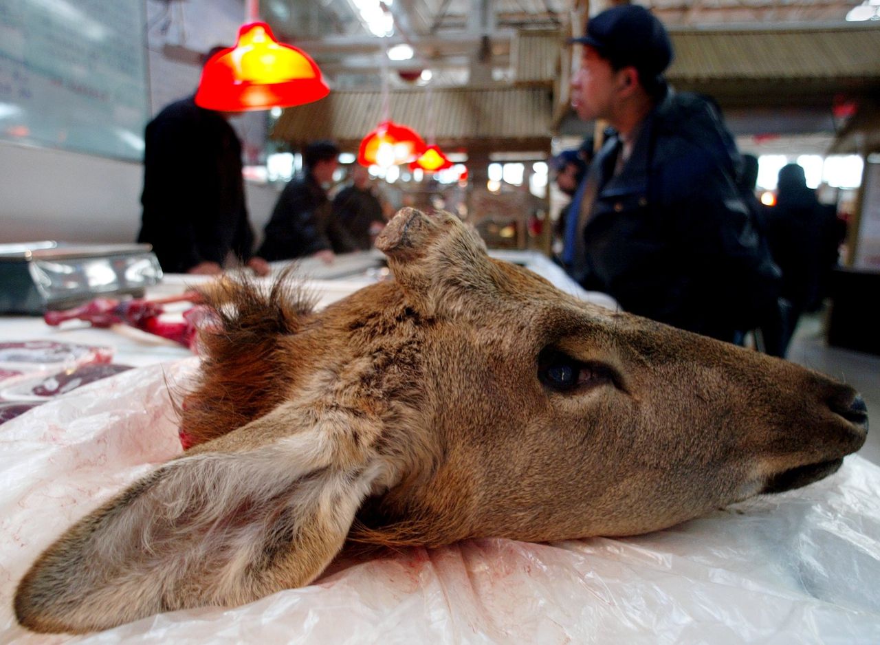 De kop van een hert op een markt in Beijing. Consumptie van wilde dieren is niet langer toegestaan in China.