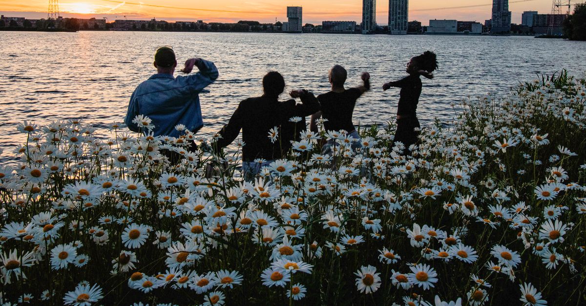 Het 50-jarige Almere door de ogen van vier jonge fotografen. ‘Ik voel me hier gezien’
