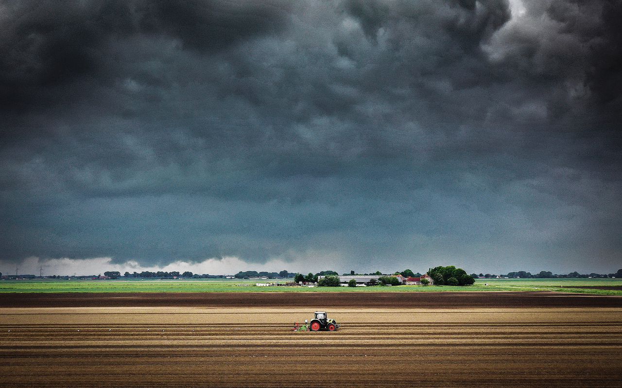 In Nederland is veel meer biodiversiteit verloren gegaan dan in andere Europese landen. Voor een deel komt dat door intensieve landbouw.Foto Jeffrey Groeneweg/ANP 