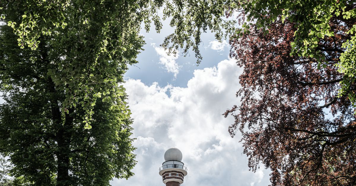 De eerste hittegolf van het jaar is een feit. En dat fenomeen wordt door klimaatverandering steeds minder zeldzaam