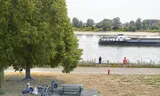 De lage waterstand in de Rijn ter hoogte van Tolkamer.