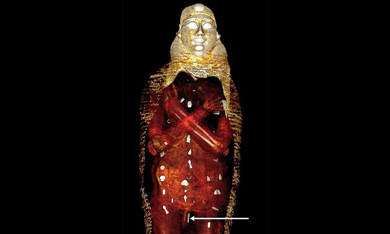 Deze mummie had een piemel van 41 millimeter 