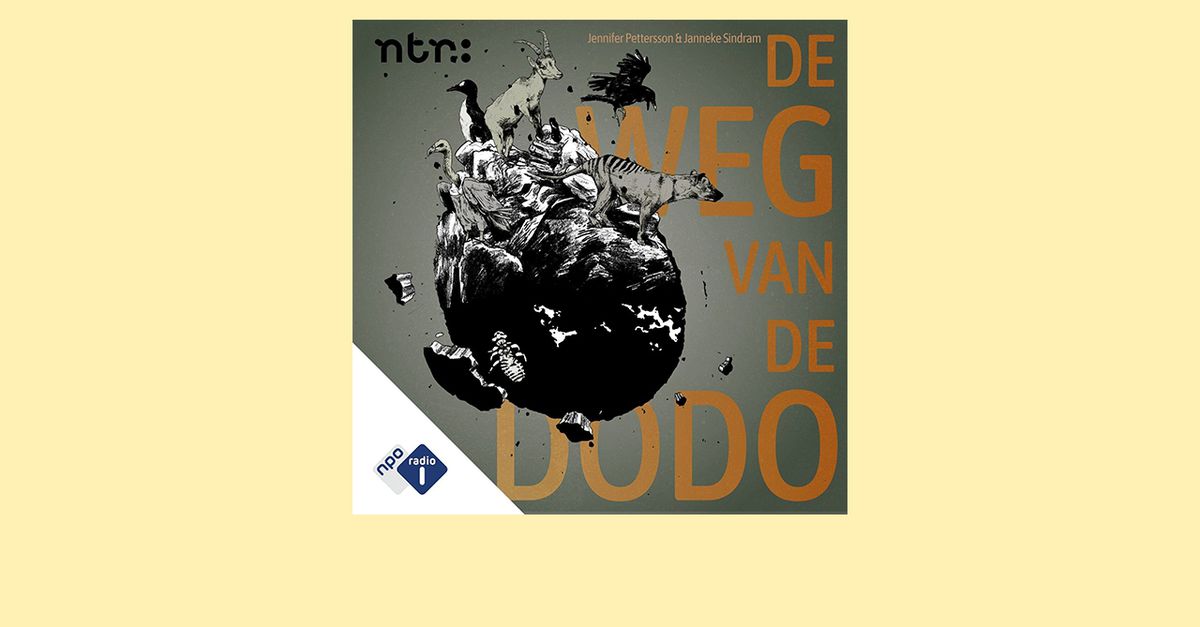 Dit zijn de beste podcasts van 2024 - NRC