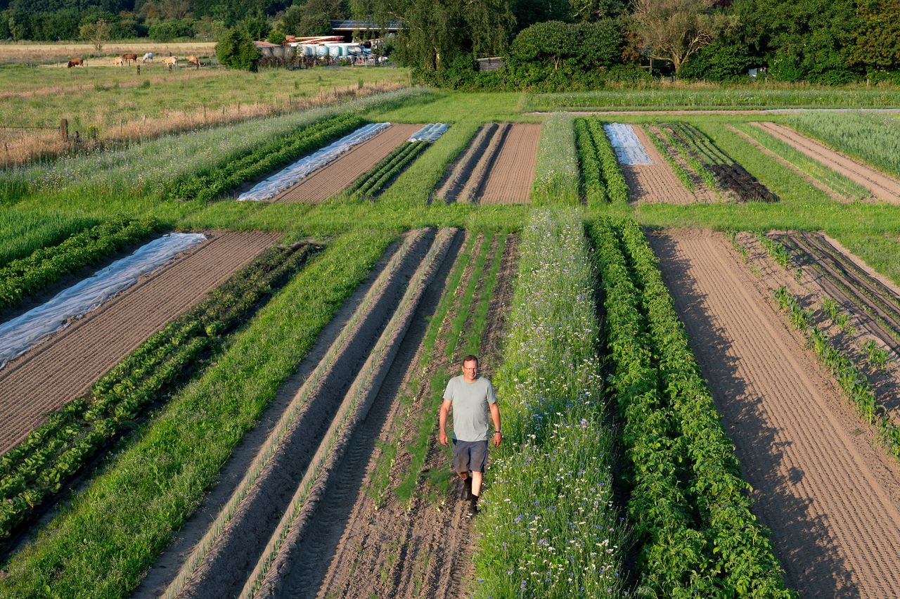 De boer van de toekomst zaait elke paar meter een ander gewas - NRC
