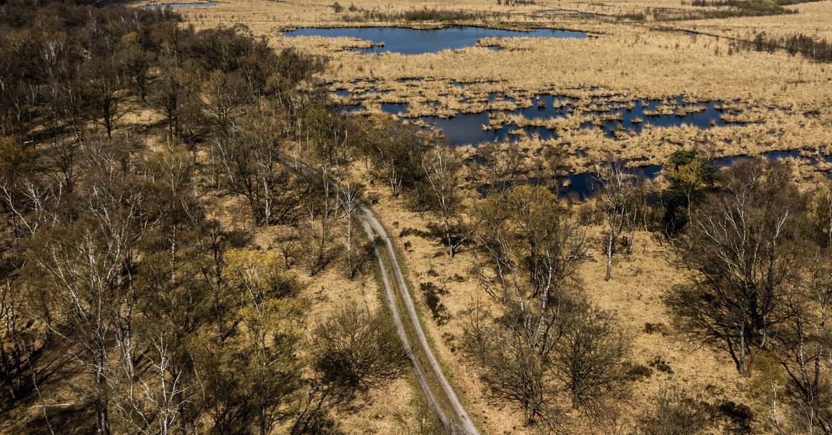 Opwarming gaat in Europa ‘twee keer zo snel’ als in de rest van de wereld, zegt EU-klimaatbureau