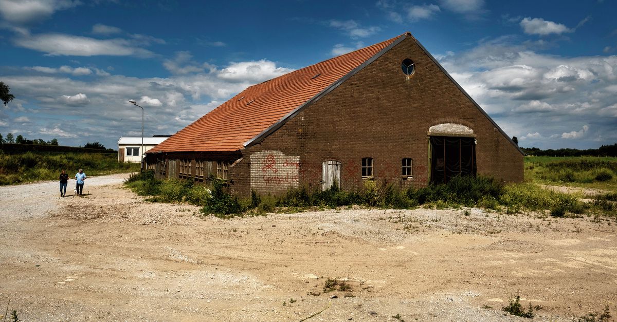 In Dreumel liggen 250.000 archeologische schatten in een koeienstal