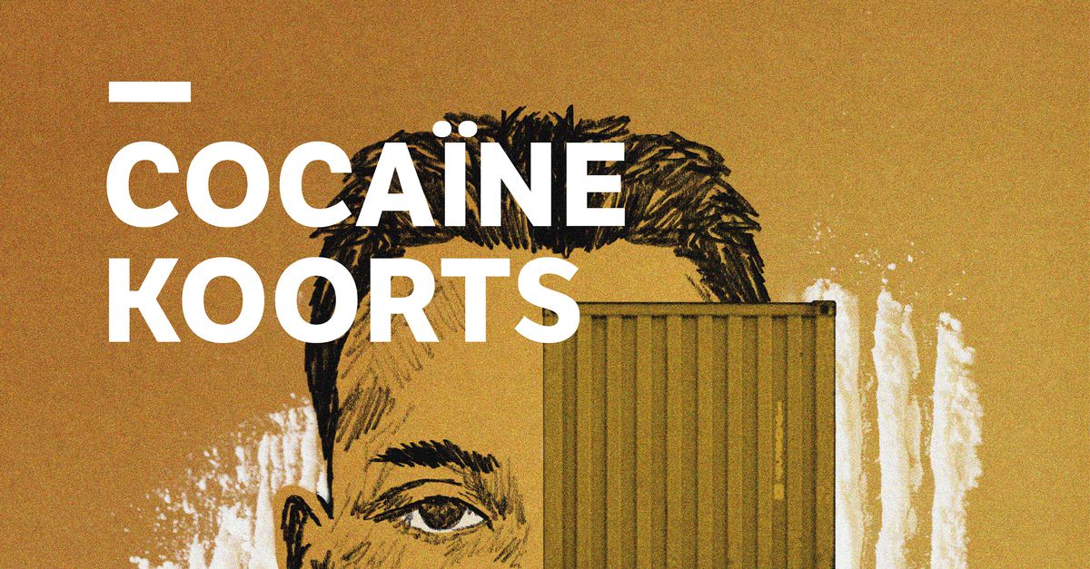 Bongoking, de Kameleon en Bolle Jos