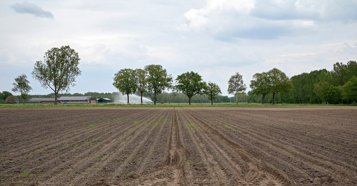 Grondprijs boeren stijgt met bijna 12 procent tot bijna ton per hectare