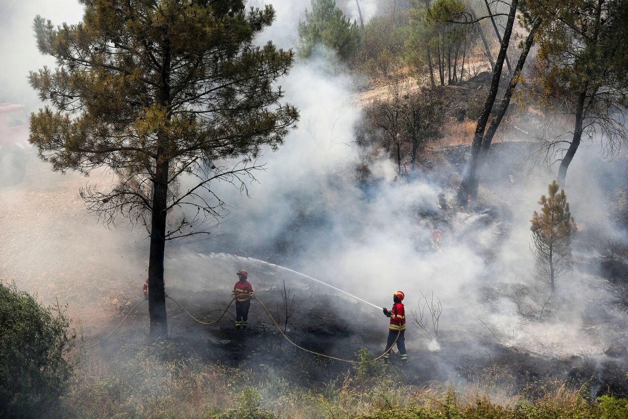 Bosbranden Portugal: 800 brandweerlieden ingezet, 20 gewonden 