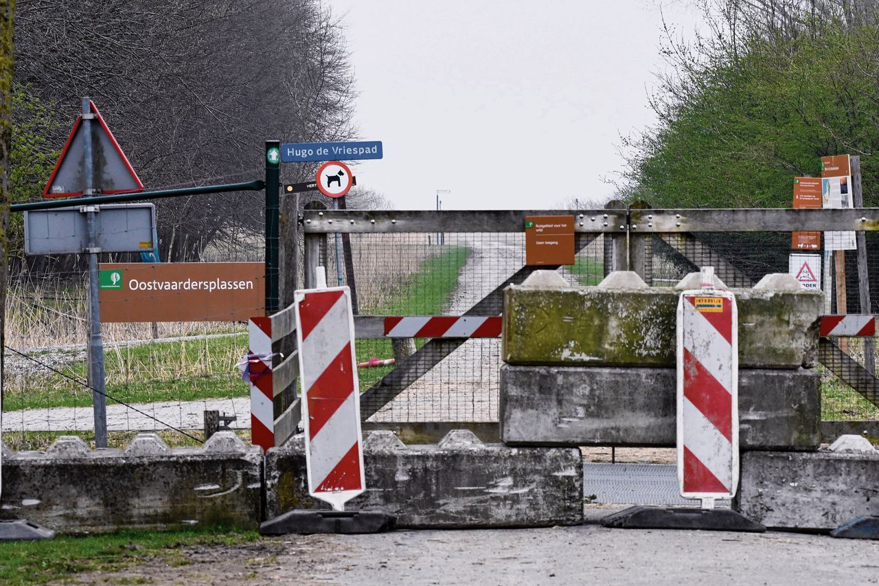 Stille tocht door Lelystad als 'eerbetoon aan dieren Oostvaardersplassen' 