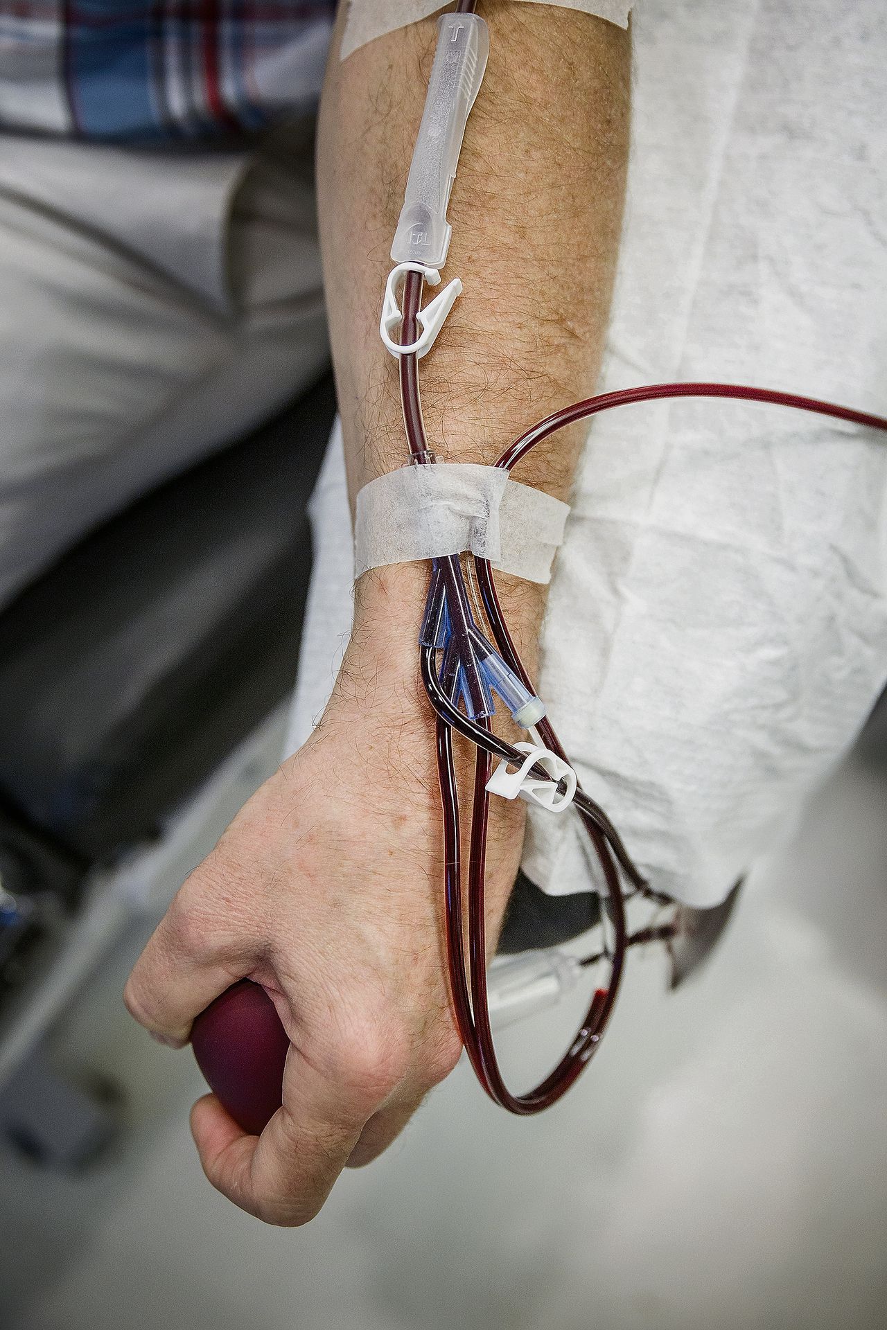 Bloed wordt afgetapt bij donoren.