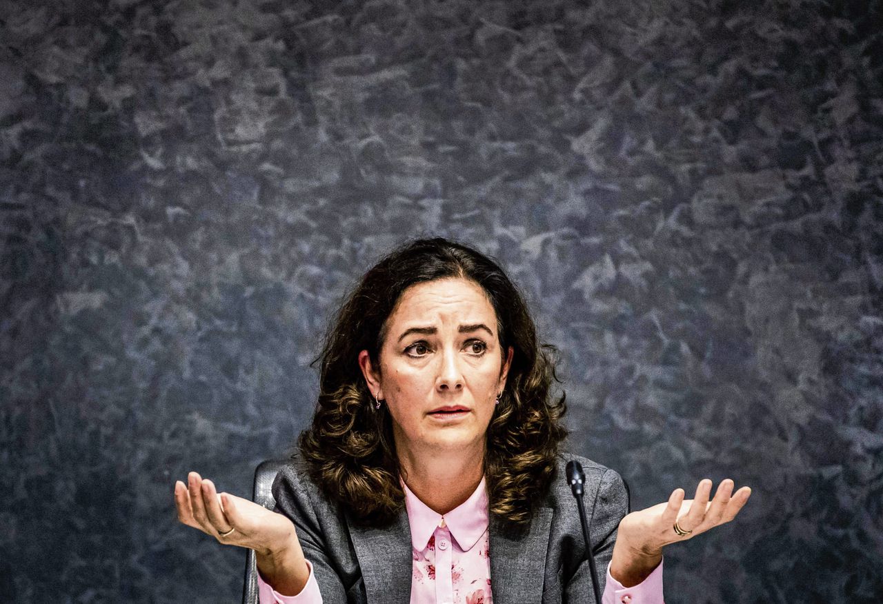 Femke Halsema Dat Wapen Had Nooit In Ons Huis Mogen Liggen Nrc