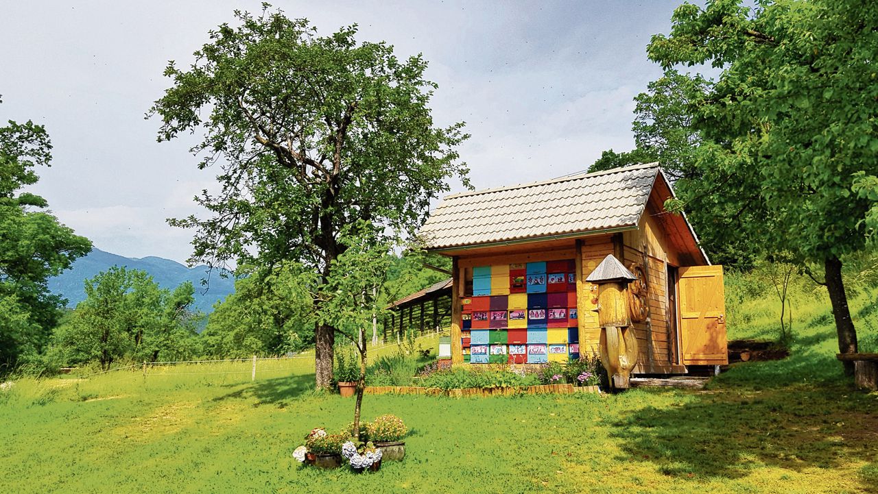 Een Sloveense bijenkast met kleurrijke panelen, een oude Sloveense traditie, die terugvoert naar de 18de en 19de eeuw. Sinds enkele jaren wordt deze traditie nieuw leven ingeblazen.
