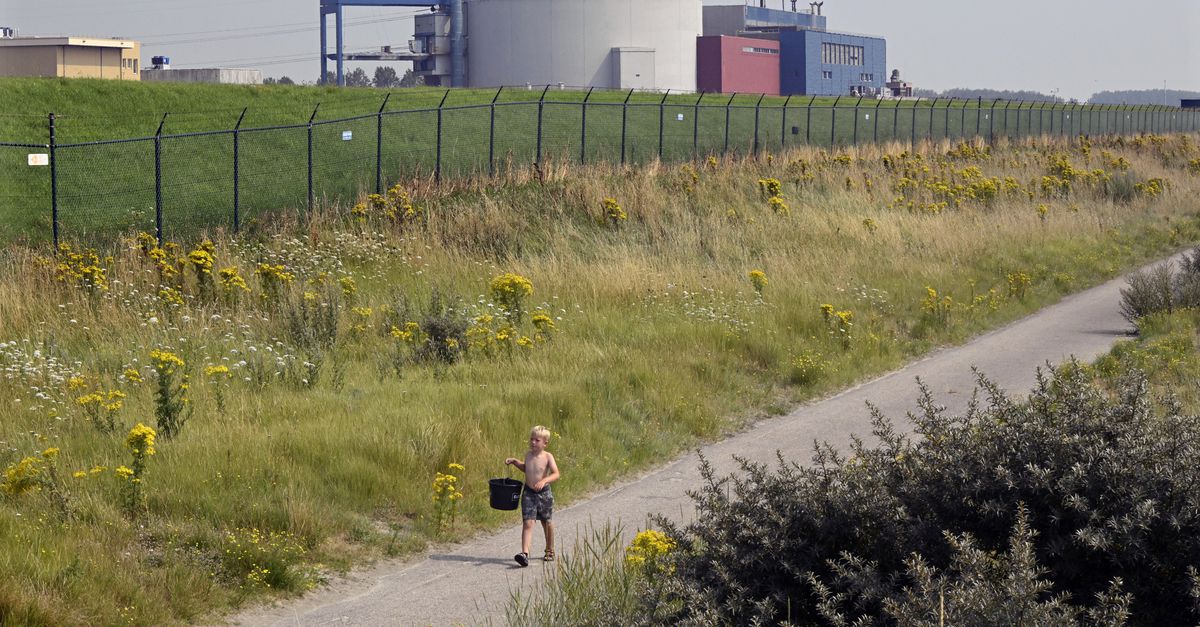 Zeeland verkoopt aandelen kerncentrale Borssele aan Nederlandse staat: ‘Belangrijke stap om centrale