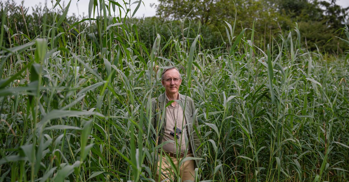 Alternatieve Nobelprijzen komen naar Europa vanwege het gure klimaat in de VS
