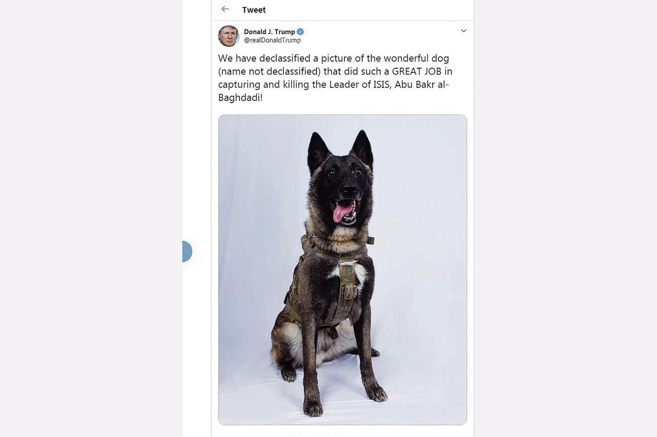De tweet van Trump, met foto van de legerhond.