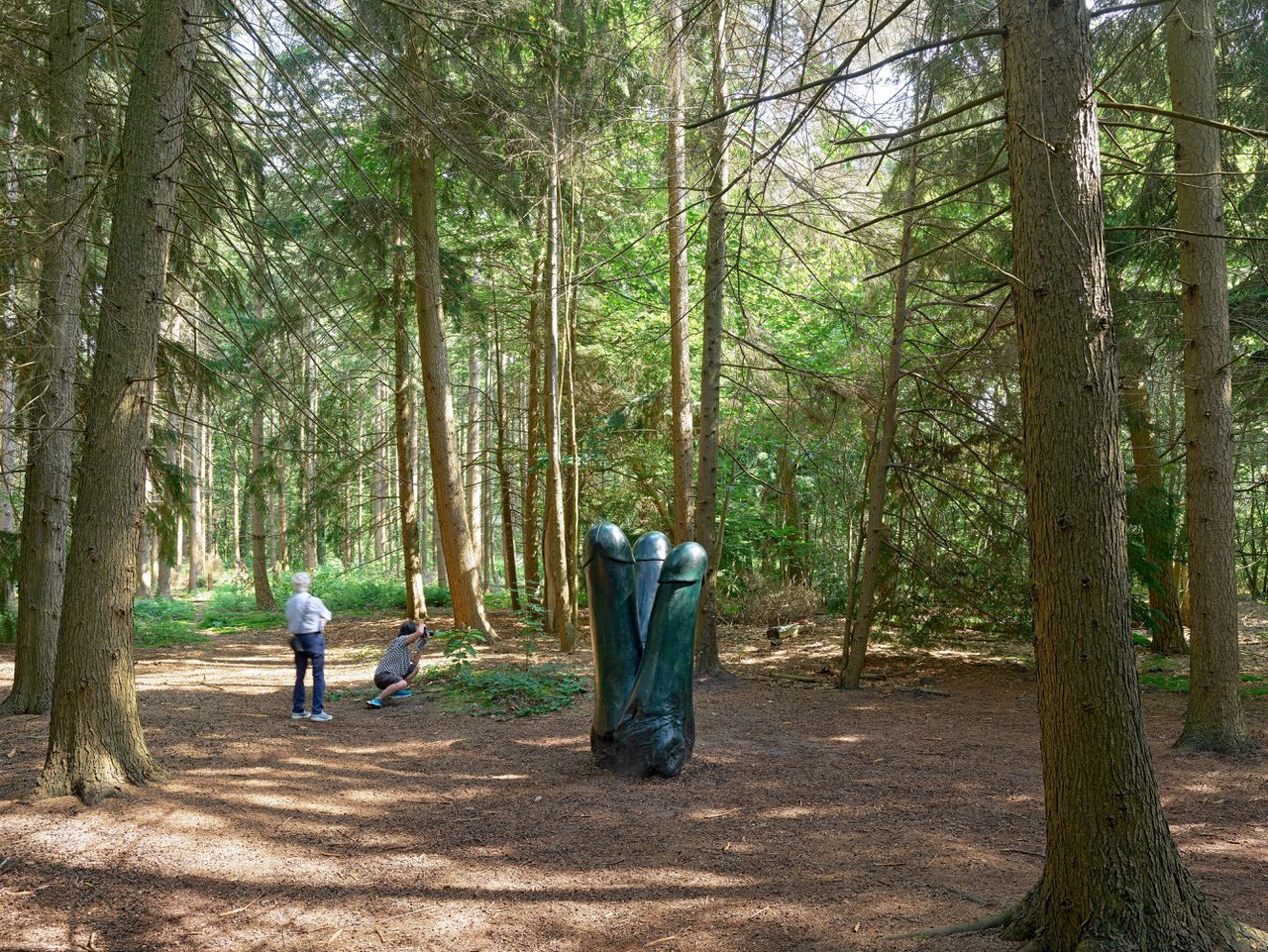 Langzaam vergroeien de drie houten penissen met de rest van het bos 