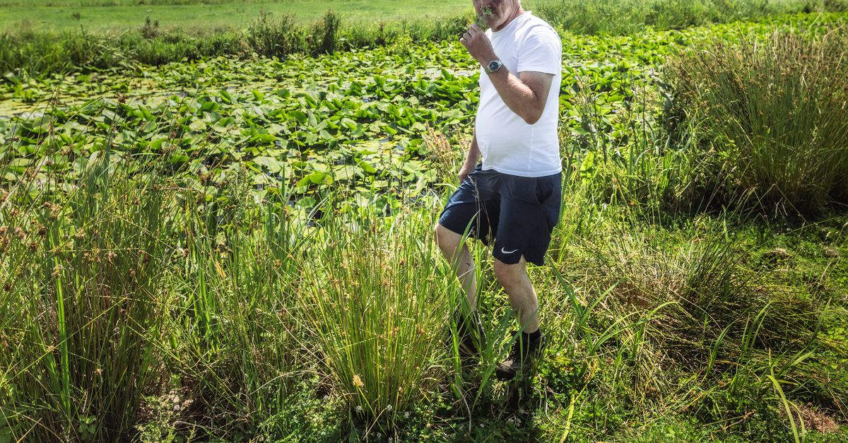 Ruim tien jaar geleden werd melkveehouder Arie een ‘natuurboer’. Nu wordt naar zijn werkwijze gekeken als oplossing in de stikstofcrisis