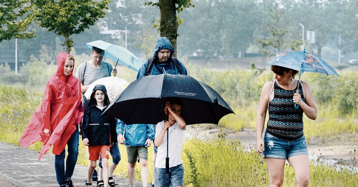 Hagel, regen, onweer en wateroverlast - NRC