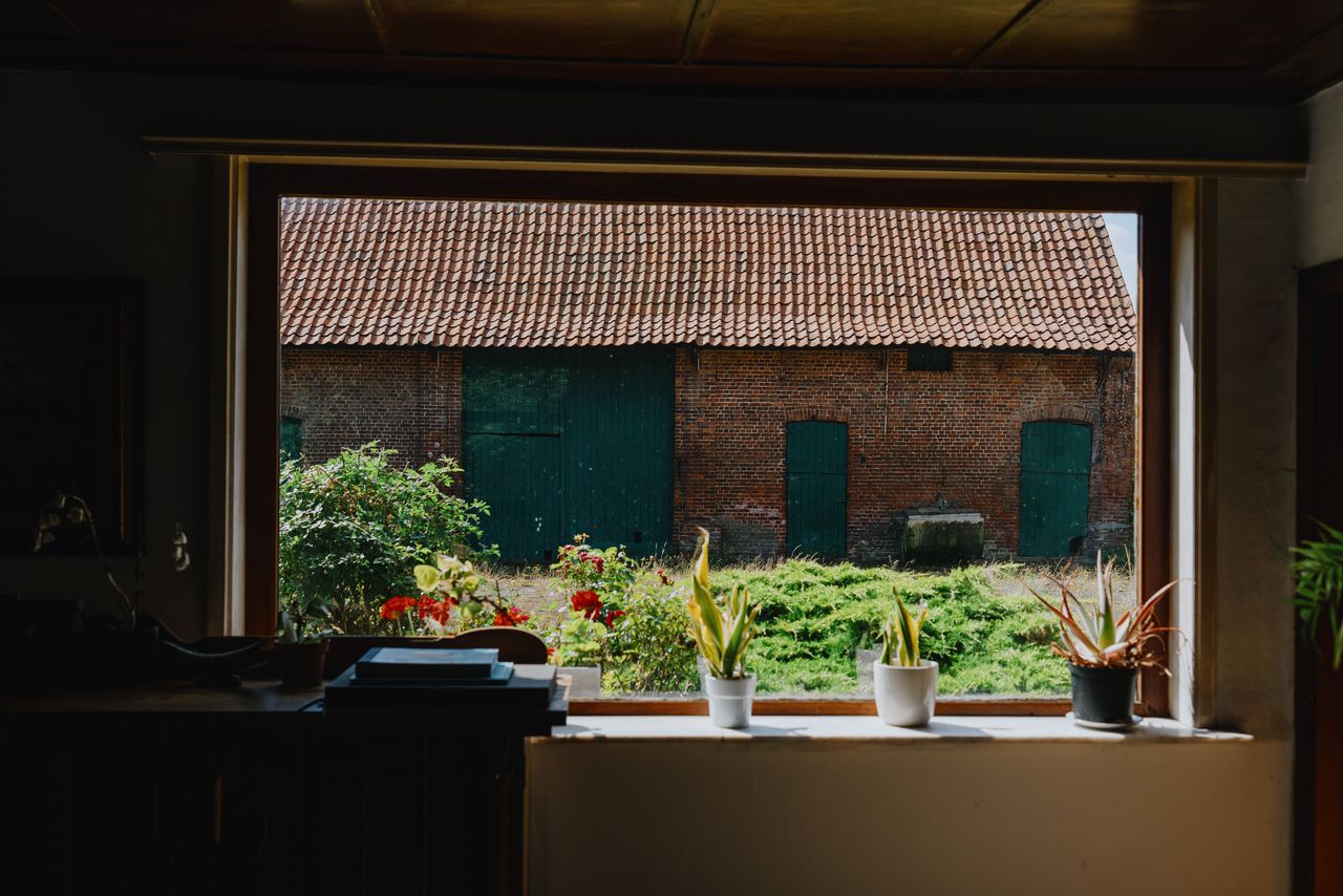 Nizozemski ombudsman preiskuje vladno politiko do kmetov zaradi preveč spreminjajočih se pravil