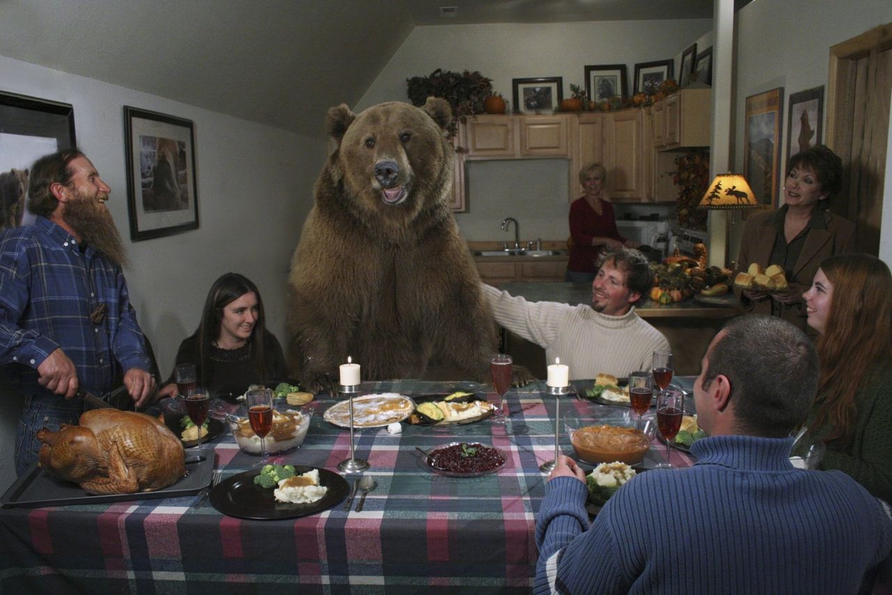 Grizzlybeer Brutus is aangeschoven voor het Thanksgiving-diner in een opvangcentrum voor grizzlyberen in de staat Montana. De foto werd in 2006 gemaakt ter promotie van een tv-programma.