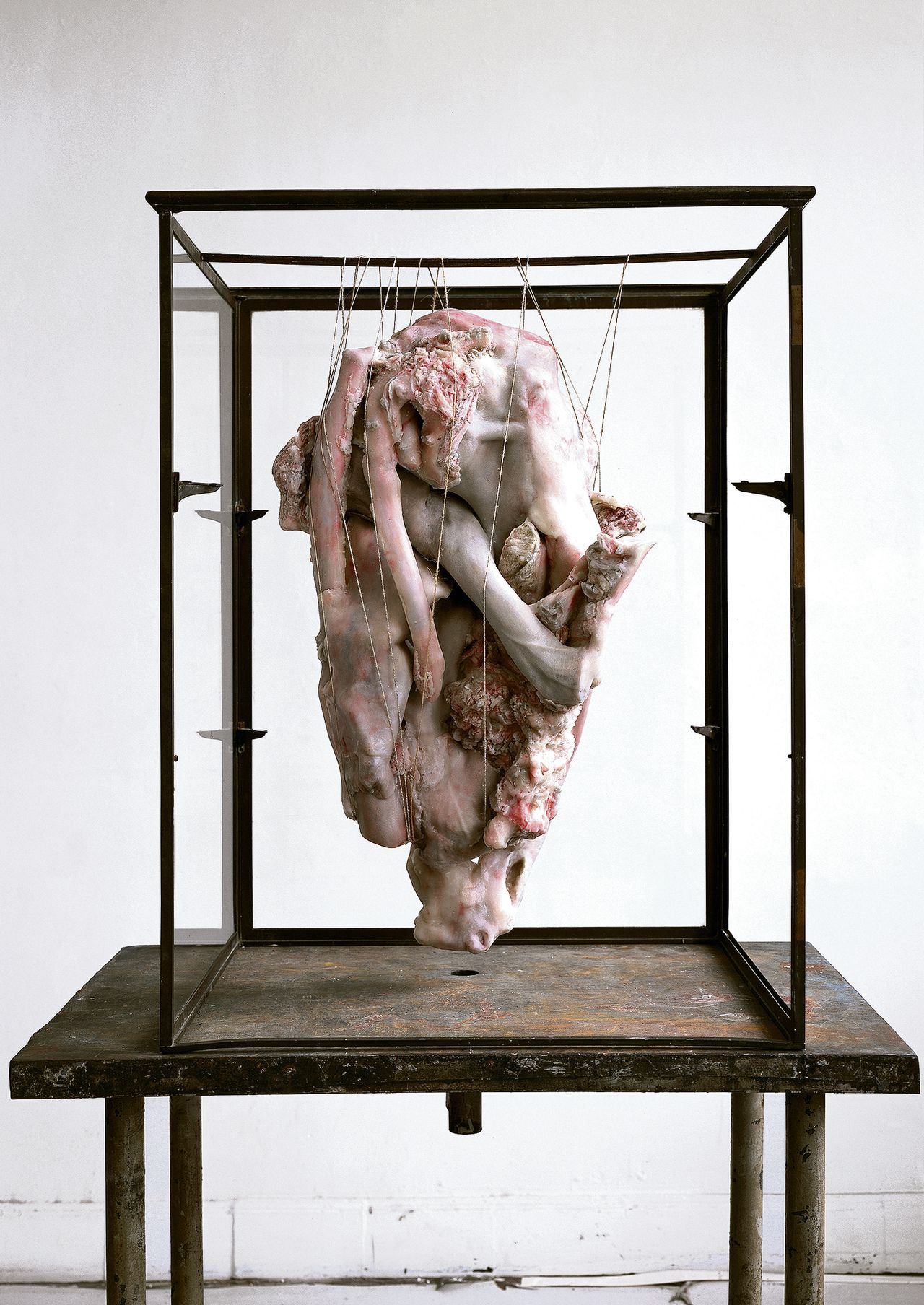 Berlinde De Bruyckere, In Doubt, 2007-2008. Was, ijzer, hout, glas, epoxy, 91×58×68cm