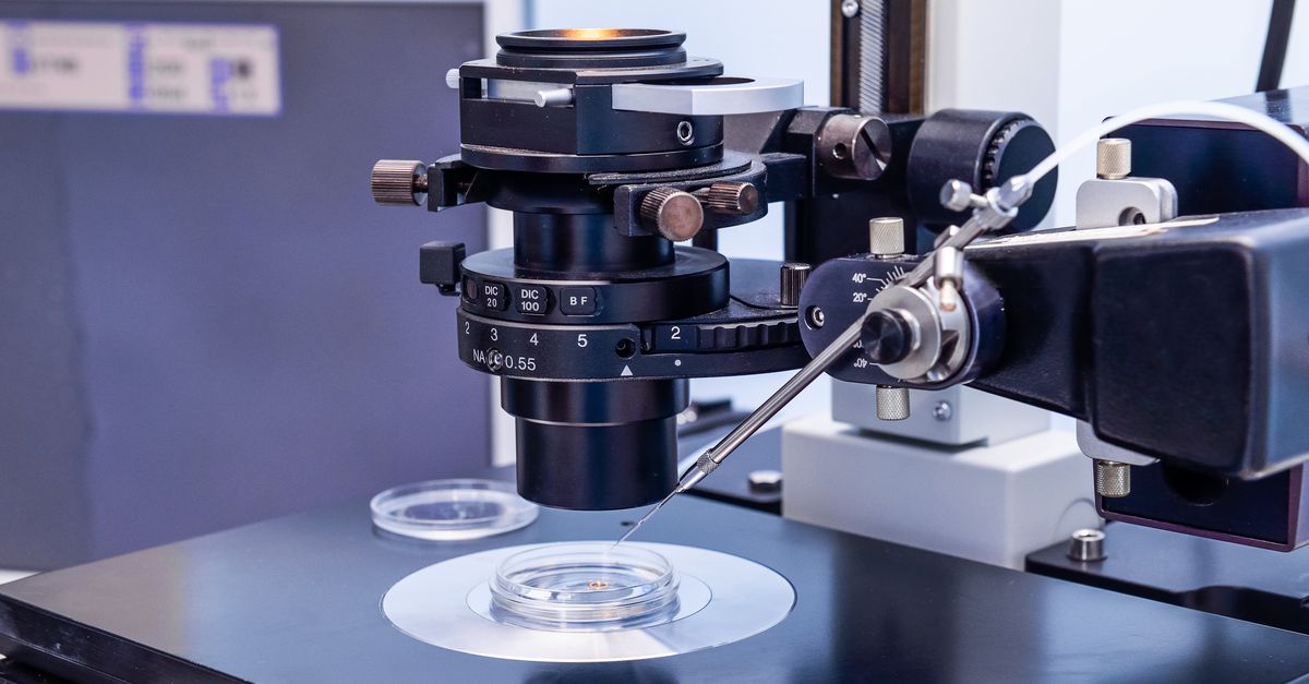 ‘CDA moet verruiming Embryowet niet aan een meerderheid helpen’