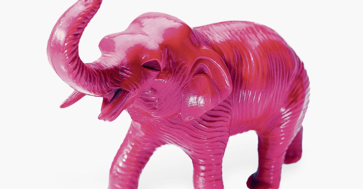 De roze olifant in de kamer - NRC