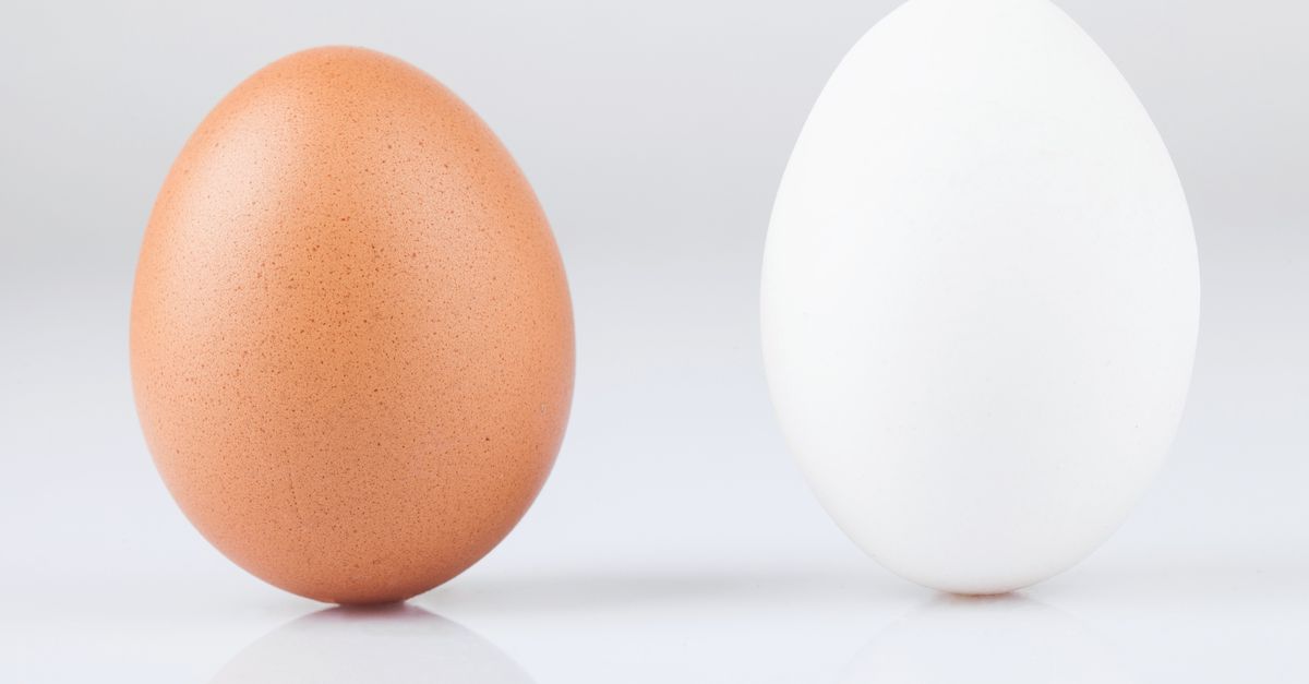 Kleverig Scheiding volgorde Zijn bruine eieren gezonder dan witte? - NRC