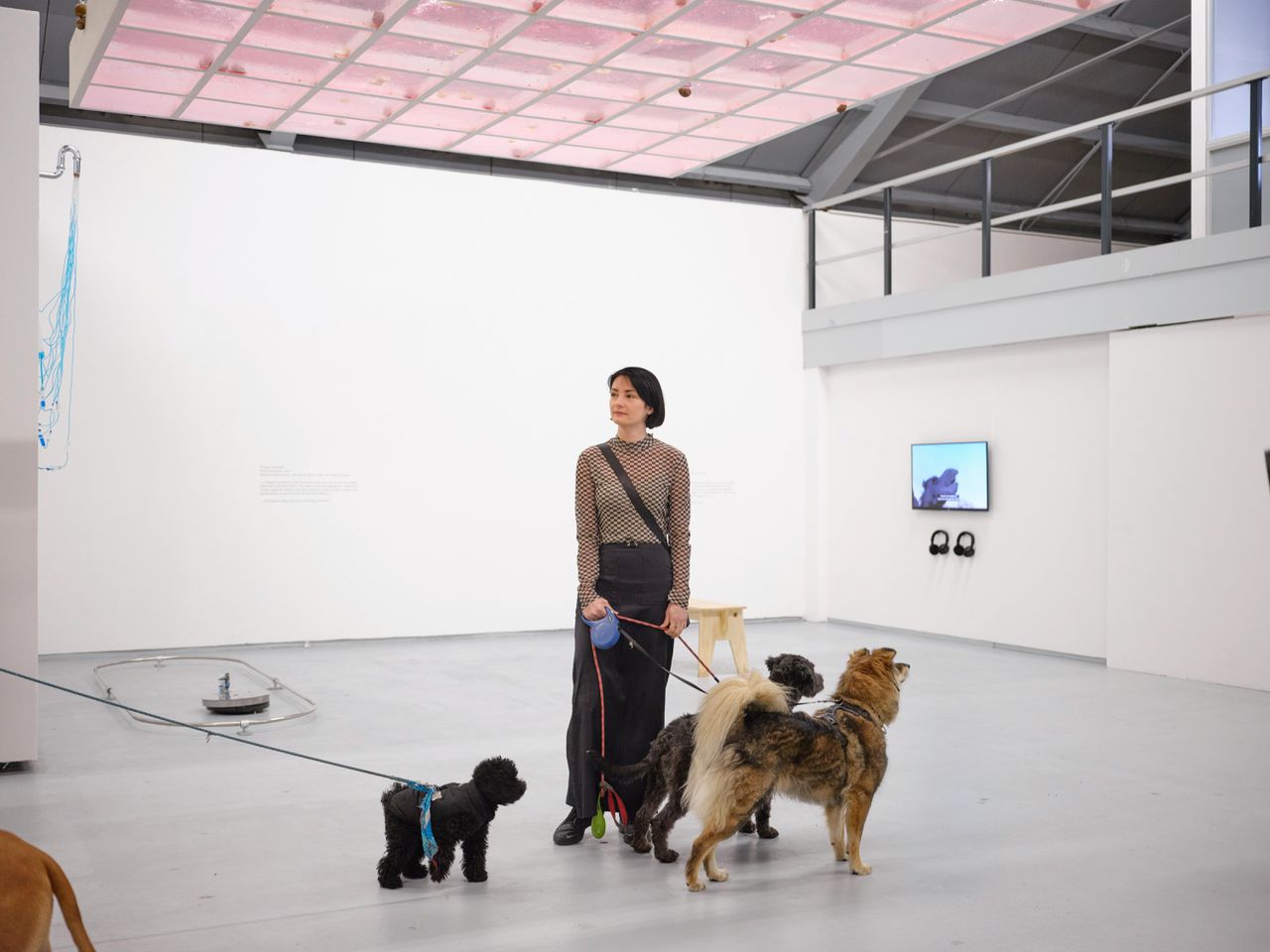 Bezoekers van de tentoonstelling ‘Pigs and Sheep and Beasts’ waaraan een rondleiding voor honden is gekoppeld.