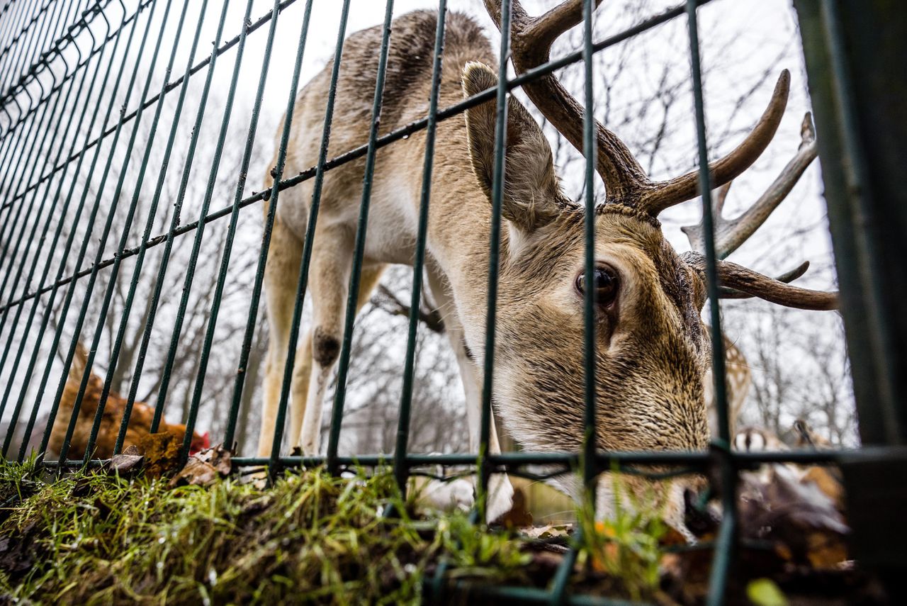 Niet zelden leiden burgerinitiatieven tot ontgoocheling en cynisme. Kan dat beter? 