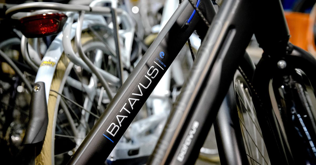 Moederbedrijf fietsmerken Batavus en Babboe failliet
