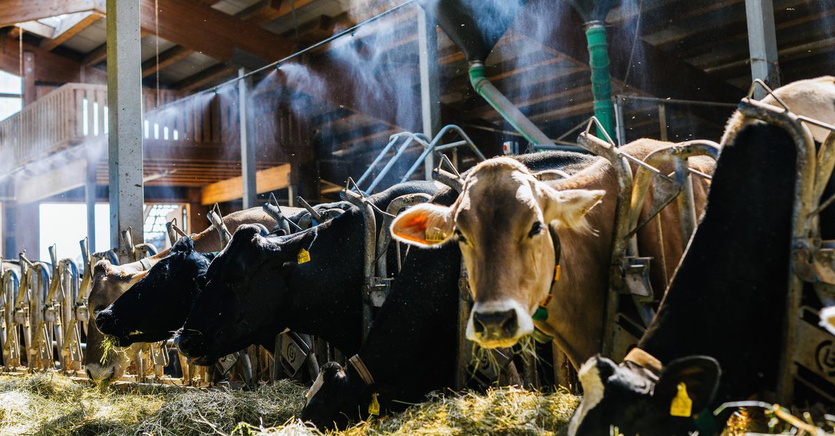 Omarming van de airco zal Europese economie niet zomaar behoeden voor schade door hittestress