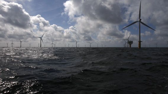 Het Prinses Amalia Windpark ter hoogte van IJmuiden, waar groene stroom wordt geproduceerd. De 'groene stroom' die het Rijk in heeft gekocht wordt gezien als 'sjoemelstroom' omdat er geen watt extra duurzame energie wordt opgewekt.