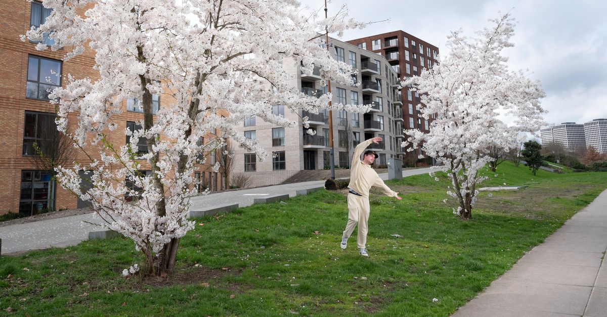 De boom krijgt een stem, in een lofzang op de schoonheid van het leven