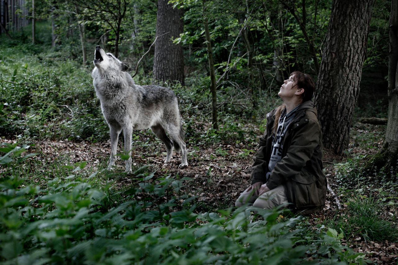 Wolf-expert Tatjana Schneider huilt samen met de wolven.