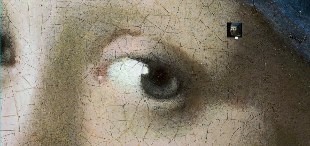 Close-up van het oog van ‘Meisje met de parel’ van Johannes Vermeer (1665) op de website ‘Meet Vermeer’.