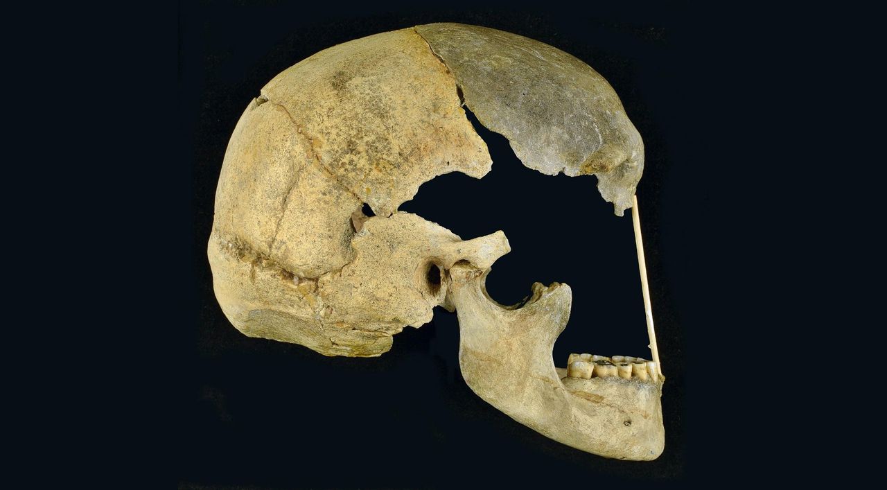 Een klein groepje Homo sapiens met een beetje neanderthaler-dna leefde 45.000 jaar geleden in Europa – en stierf ook weer uit