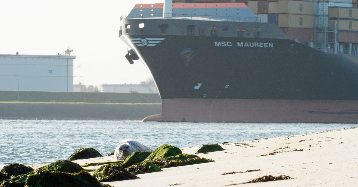 Waar de industrie domineert, past de natuur zich gewoon aan - NRC