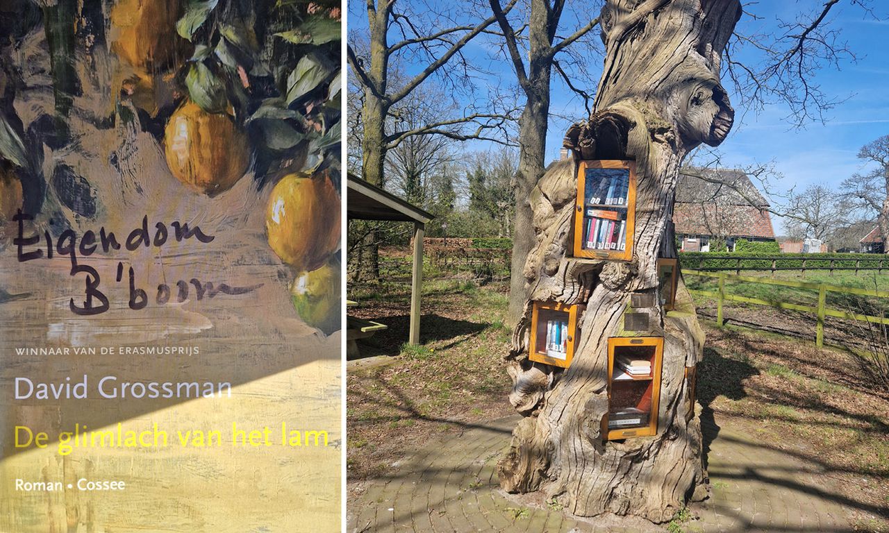 De Bruilboom in De Bruil is de bron van vele verhalen 