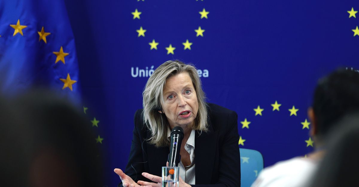 Oud-minister en vicepremier Kajsa Ollongren wordt hoogste ambtenaar bij Europese buitenlanddienst