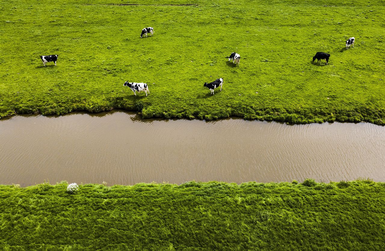 Ontpolder de landbouw 