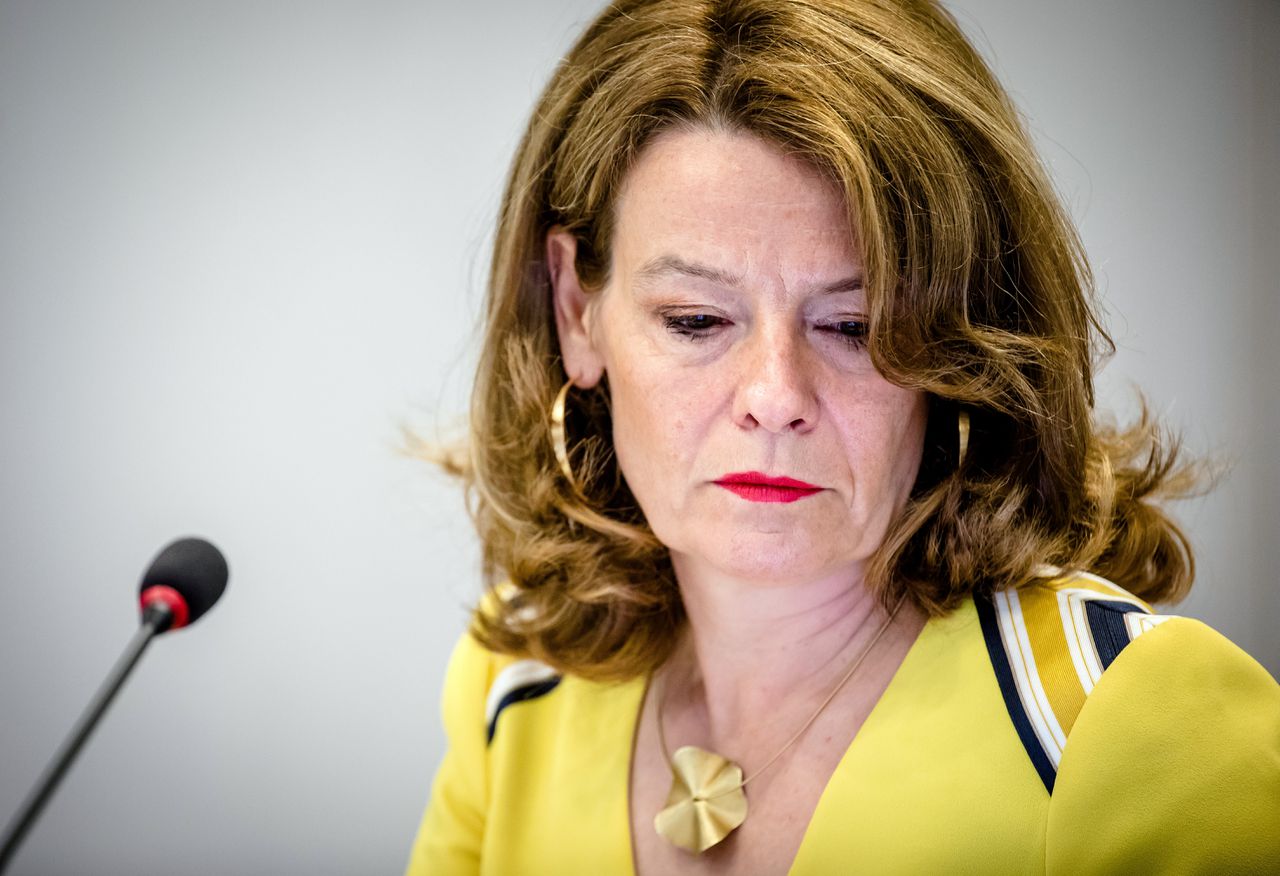 Merel van Vroonhoven, AFM, tijdens een rondetafelgsprek in de Tweede Kamer over bankenbuffers in mei 2018.